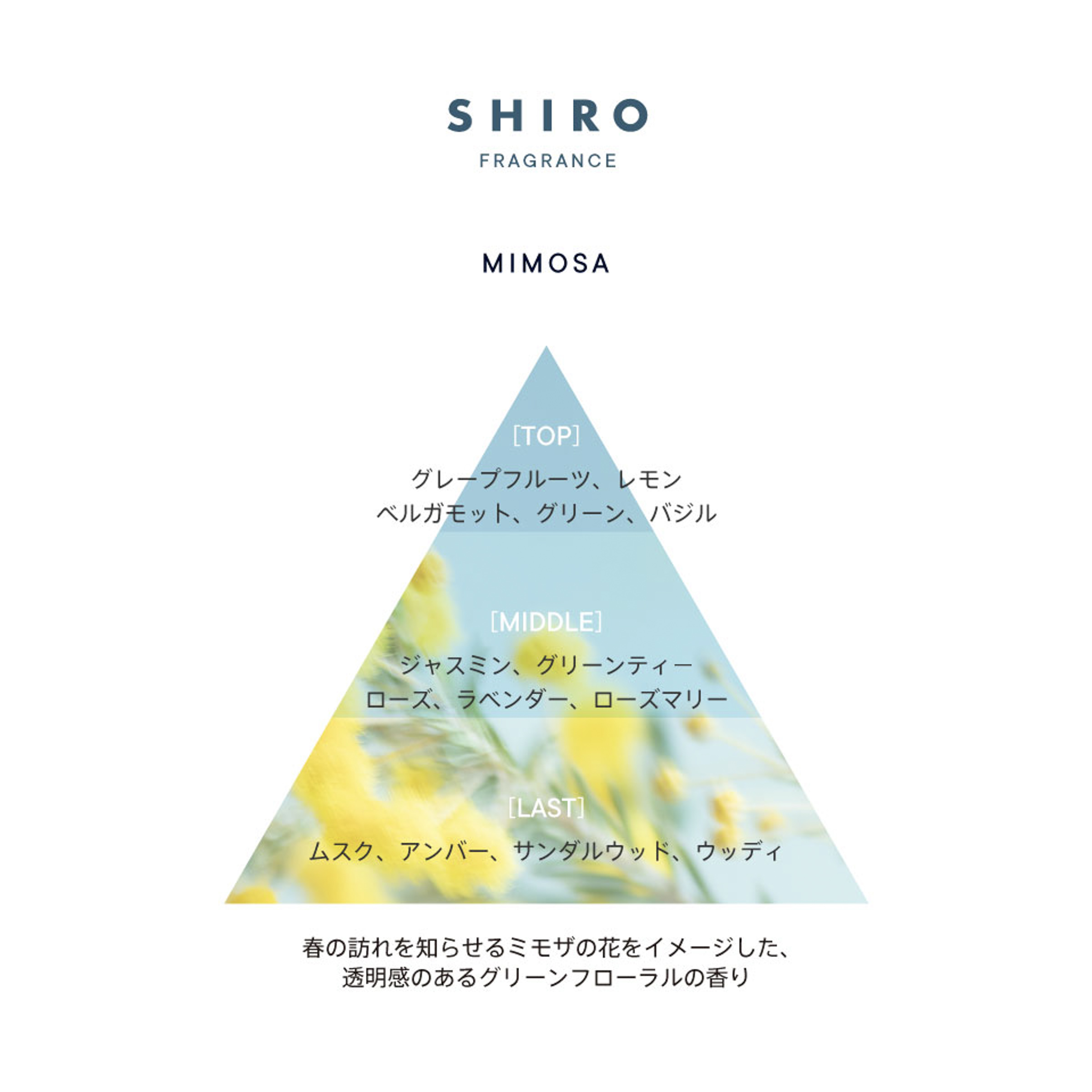 SHIRO」から好評の「ミモザ」シリーズが再び 初のルームフレグランスや 