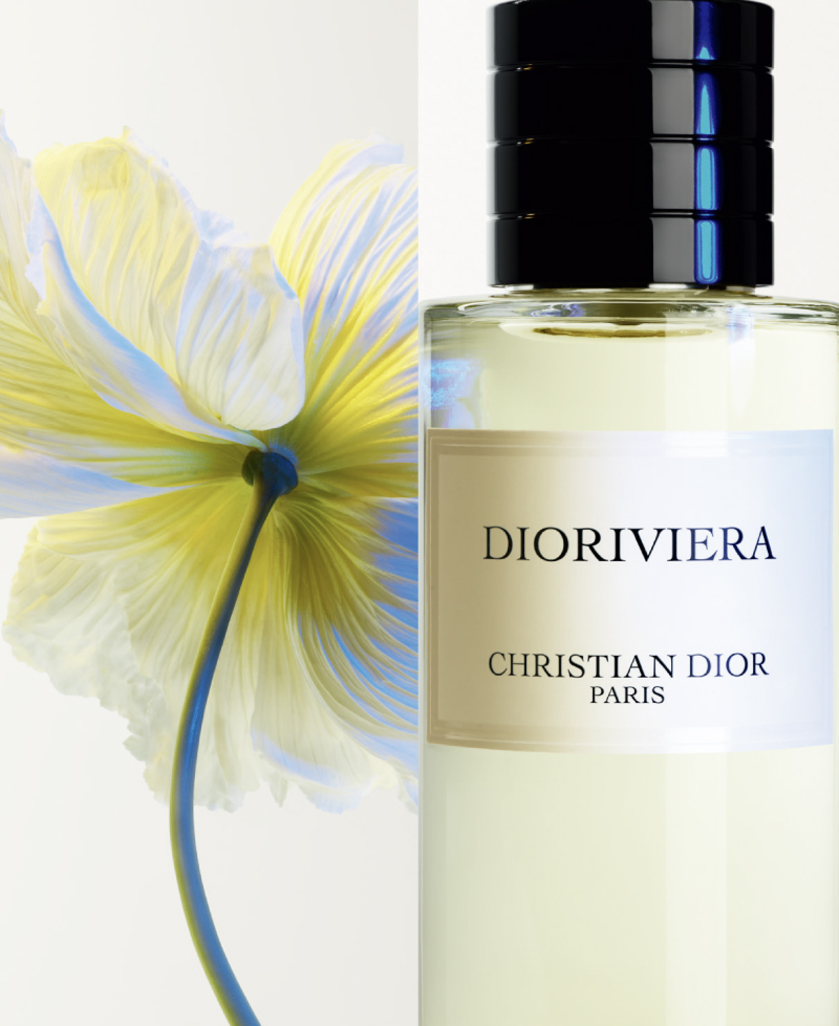 メゾン クリスチャン ディオールから新作香水「ディオリビエラ」が登場 花々とイチジクの葉が奏でるハーモニー
